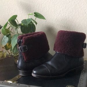 UGG Inez Ankle Boots